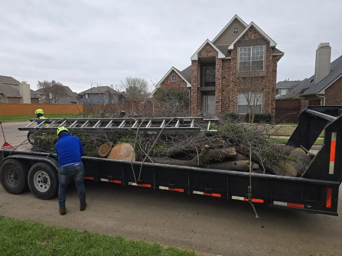 Expert Lot Clearing with proper safety equipment in Southfield